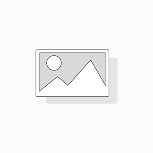 بنطة استاليس زويل